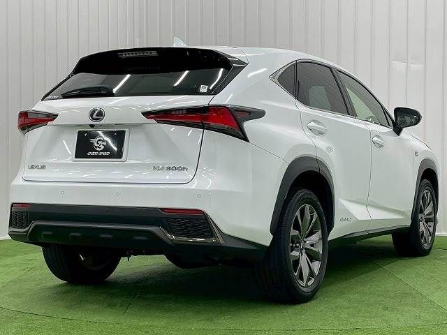 TOYOTA LEXUS NX300h 2020