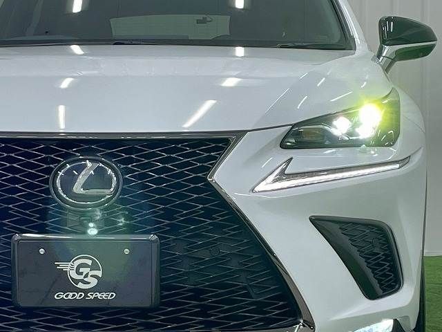 TOYOTA LEXUS NX300h 2020