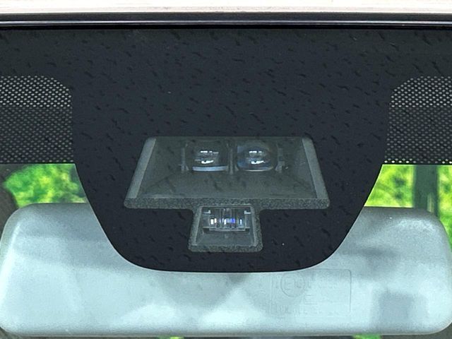 SUZUKI ALTO LAPIN 2017