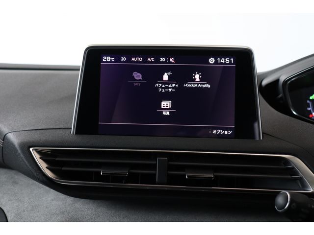 PEUGEOT PEUGEOT 3008 2019