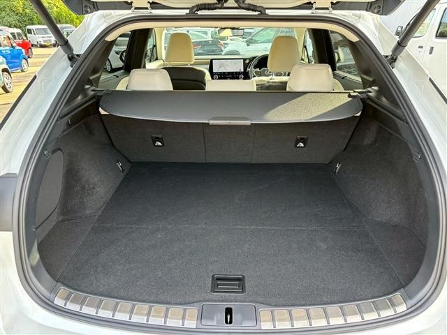 TOYOTA LEXUS RX450h+ 2023