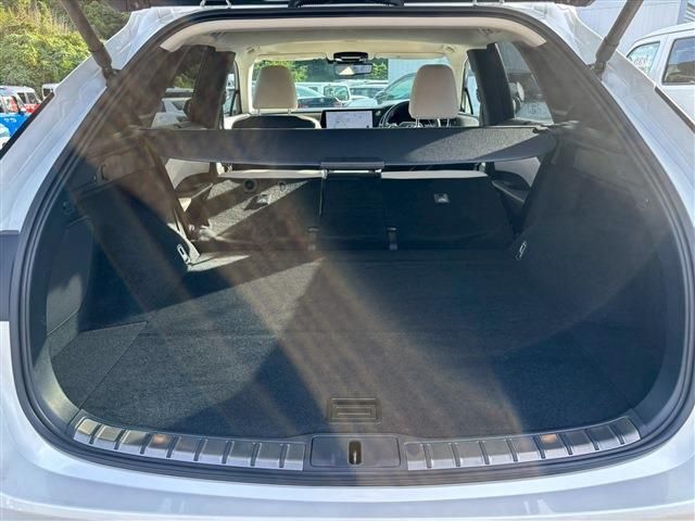 TOYOTA LEXUS RX450h+ 2023