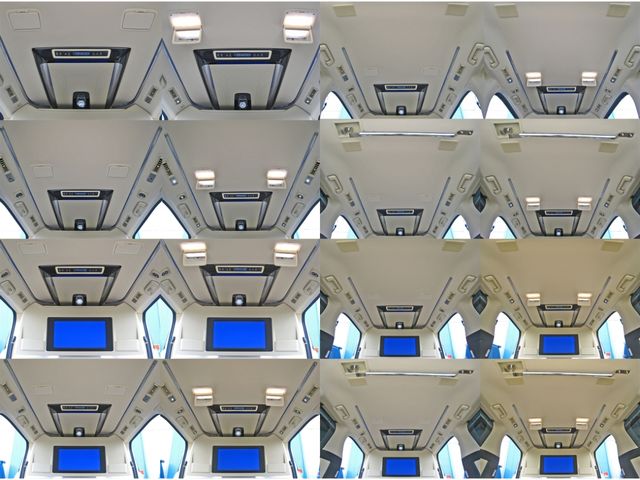 TOYOTA ALPHARD hybrid 4WD 2019