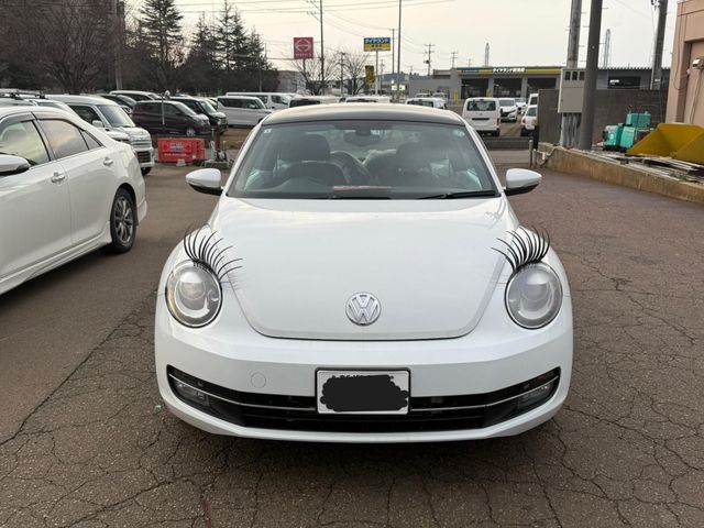 VOLKSWAGEN VOLKSWAGEN The BEETLE 2015
