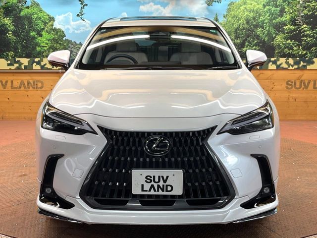 TOYOTA LEXUS NX350h 2024