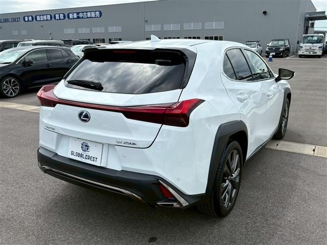 TOYOTA LEXUS UX250h 2022