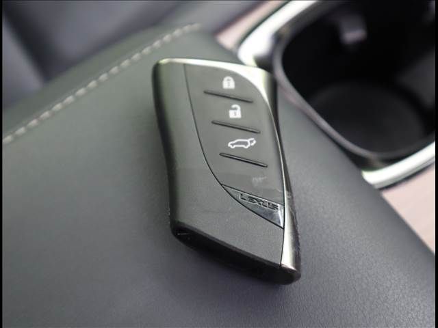 TOYOTA LEXUS RX350h 2024