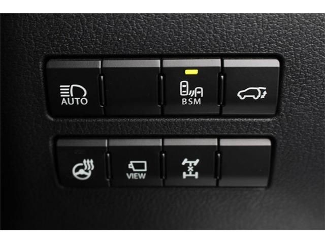 TOYOTA LEXUS NX300 AWD 2018