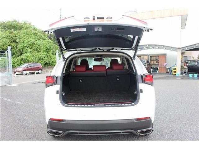 TOYOTA LEXUS NX300 AWD 2018