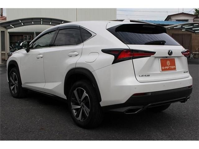 TOYOTA LEXUS NX300 AWD 2018