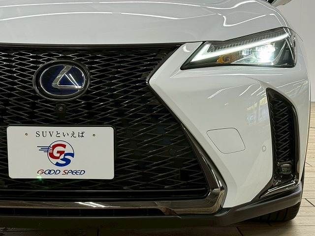 TOYOTA LEXUS UX250h 2019