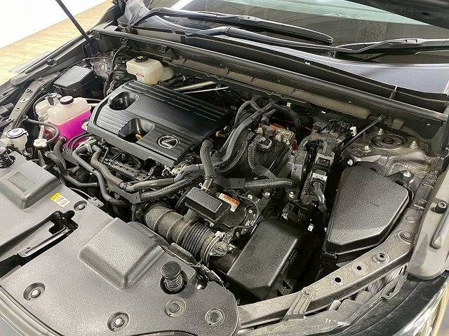 TOYOTA LEXUS NX350h 2023