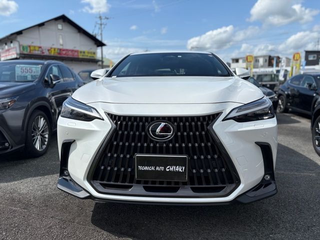 TOYOTA LEXUS NX250 2023