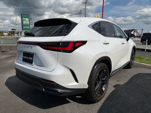 TOYOTA LEXUS NX250 2023