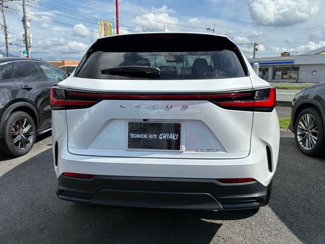 TOYOTA LEXUS NX250 2023