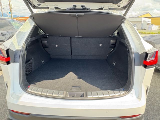 TOYOTA LEXUS NX250 2023