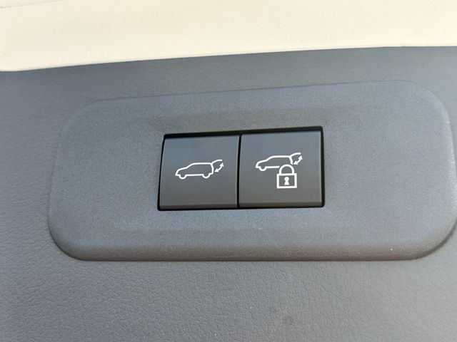 TOYOTA LEXUS NX250 2023