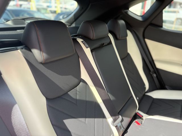 TOYOTA LEXUS NX250 2023