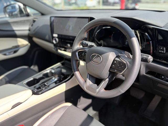 TOYOTA LEXUS NX250 2023