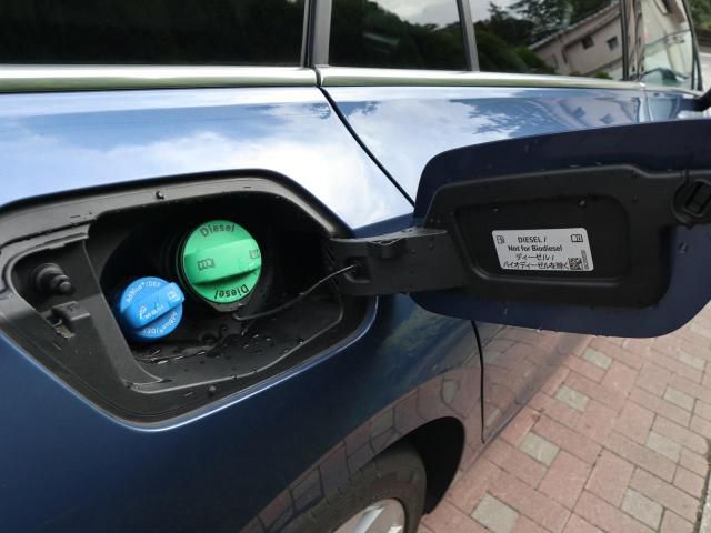 VOLKSWAGEN VOLKSWAGEN GOLF VARIANT 2025