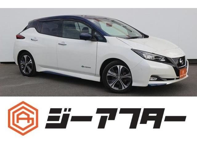 NISSAN LEAF 2018