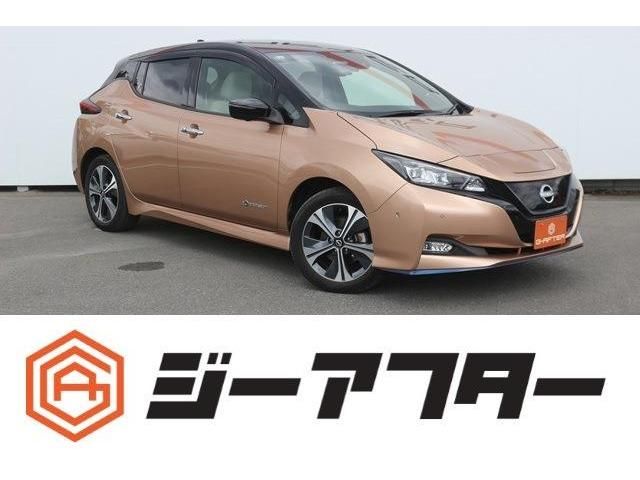NISSAN LEAF 2021