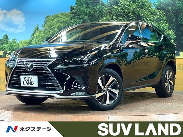 TOYOTA LEXUS NX300 2020