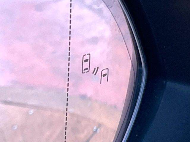 TOYOTA LEXUS NX300 2020