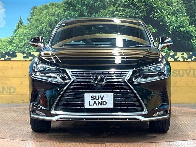 TOYOTA LEXUS NX300 2020