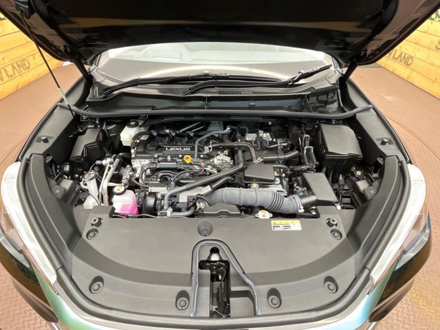 TOYOTA LEXUS LBX 2024