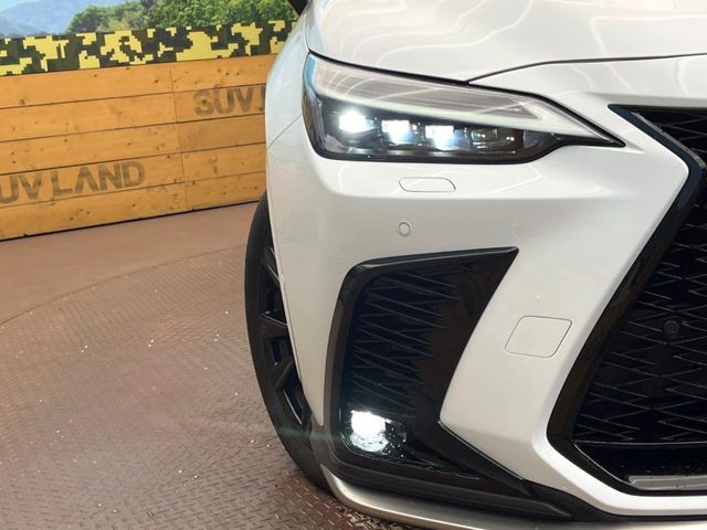 TOYOTA LEXUS NX350h 2023