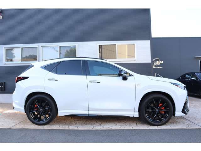 TOYOTA LEXUS NX350h 2023