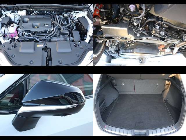 TOYOTA LEXUS NX350h 2023