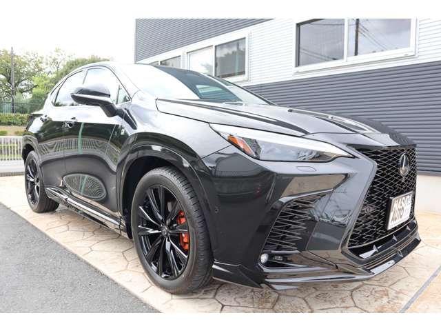 TOYOTA LEXUS NX450h+ AWD 2023