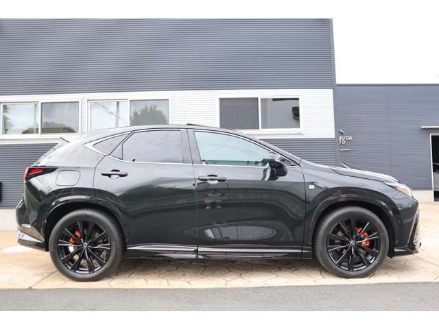 TOYOTA LEXUS NX450h+ AWD 2023