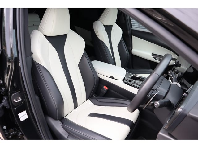 TOYOTA LEXUS NX450h+ AWD 2023