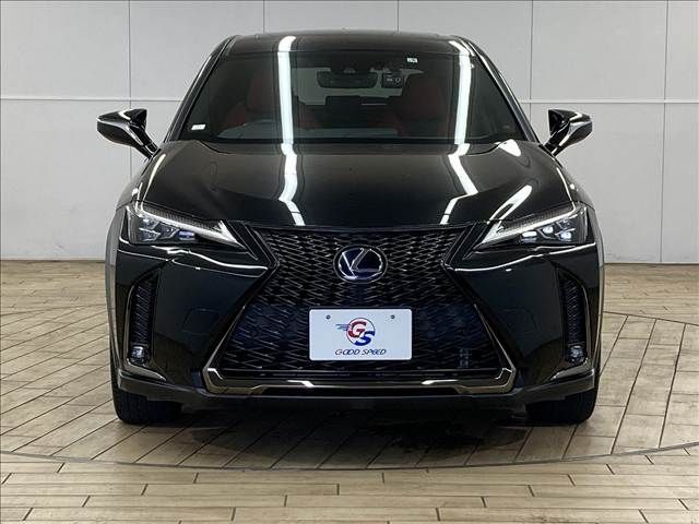TOYOTA LEXUS UX250h 2019