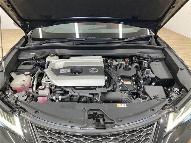 TOYOTA LEXUS UX250h 2019