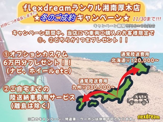 TOYOTA LANDCRUISER wagon 1989