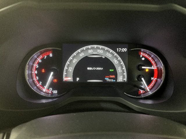 TOYOTA RAV4 4WD 2019