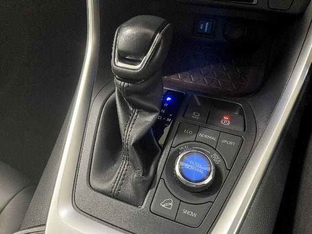 TOYOTA RAV4 4WD 2019