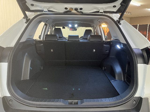 TOYOTA RAV4 4WD 2019