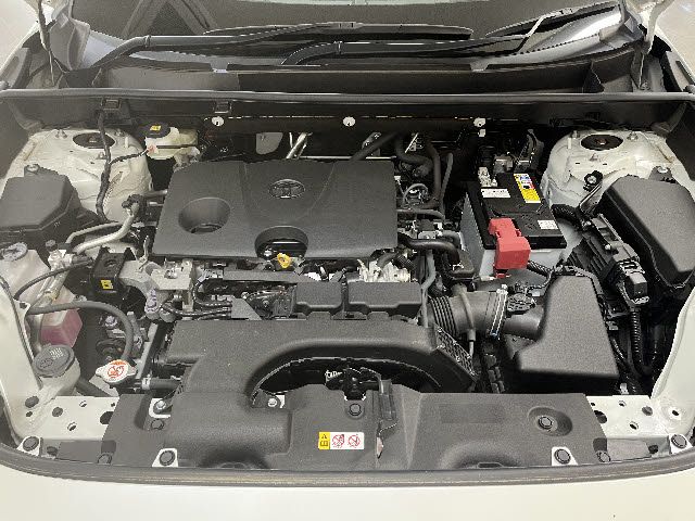 TOYOTA RAV4 4WD 2019