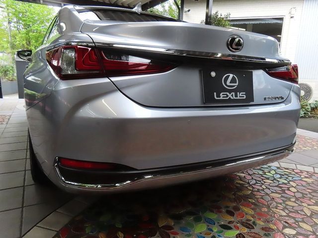 TOYOTA LEXUS ES300h 2024