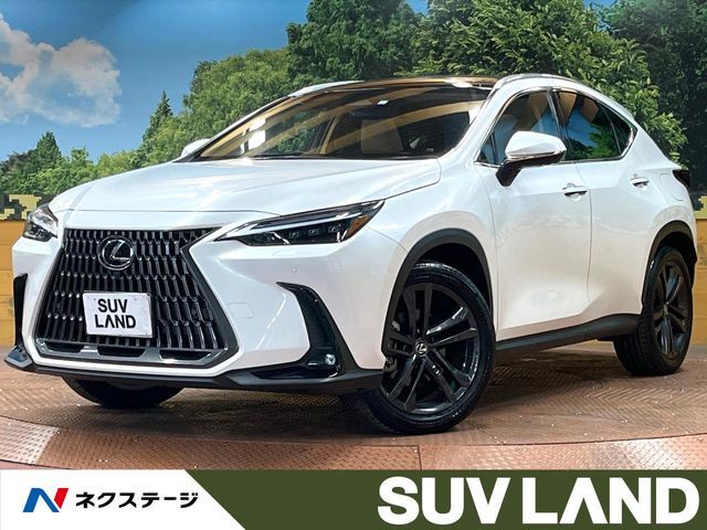 TOYOTA LEXUS NX350h 2023