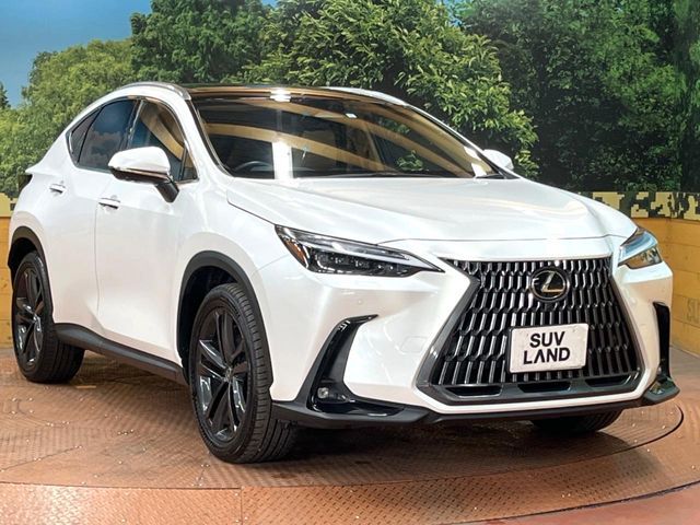 TOYOTA LEXUS NX350h 2023