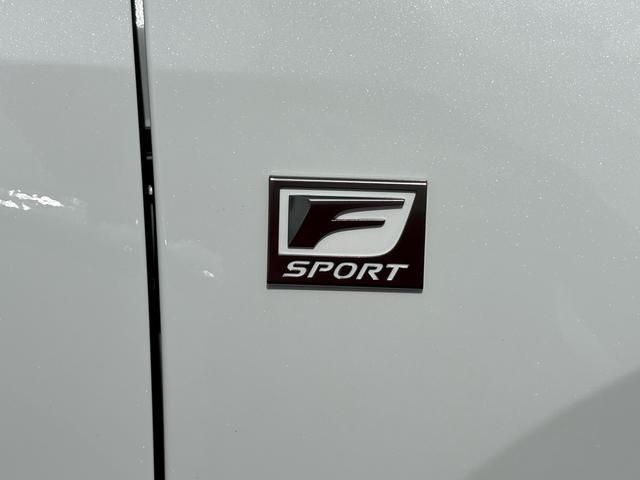 TOYOTA LEXUS NX350h AWD 2024