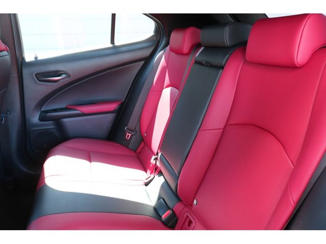 TOYOTA LEXUS UX250h 2019