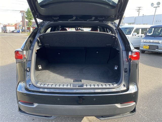 TOYOTA LEXUS NX300h AWD 2015