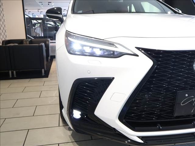 TOYOTA LEXUS NX350h 2023